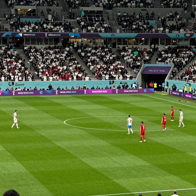 post_img_1784444486_7669